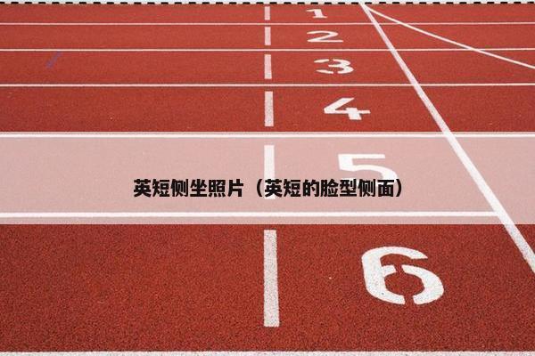 英短侧坐照片（英短的脸型侧面）