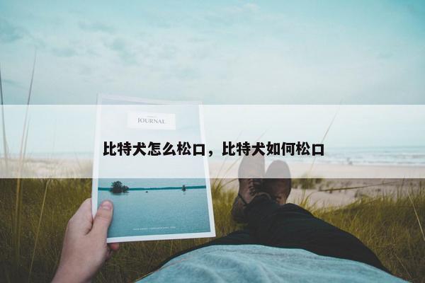 比特犬怎么松口，比特犬如何松口