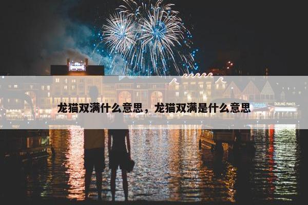 龙猫双满什么意思，龙猫双满是什么意思