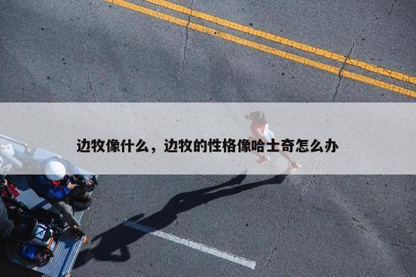 边牧像什么，边牧的性格像哈士奇怎么办