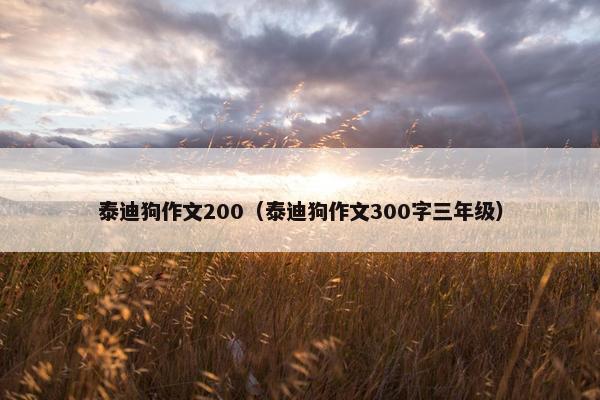 泰迪狗作文200（泰迪狗作文300字三年级）