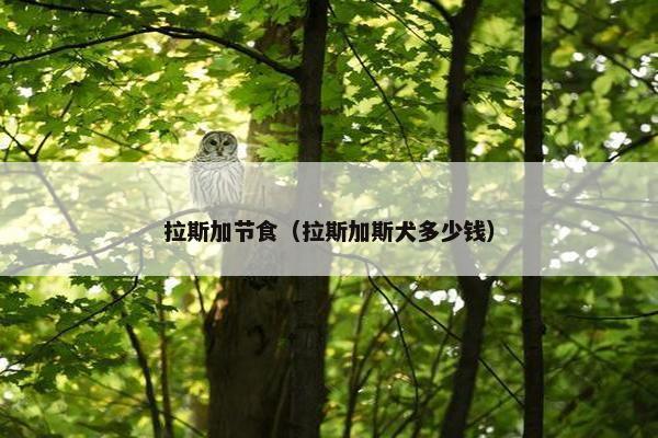 拉斯加节食（拉斯加斯犬多少钱）