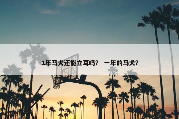 1年马犬还能立耳吗？ 一年的马犬？