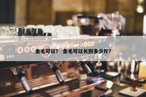 金毛可以？ 金毛可以长到多少斤？