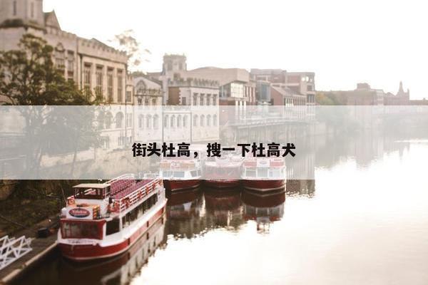 街头杜高，搜一下杜高犬