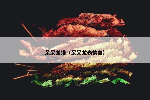呆呆龙猫（呆呆龙表情包）