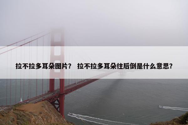 拉不拉多耳朵图片？ 拉不拉多耳朵往后倒是什么意思？