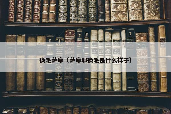 换毛萨摩（萨摩耶换毛是什么样子）