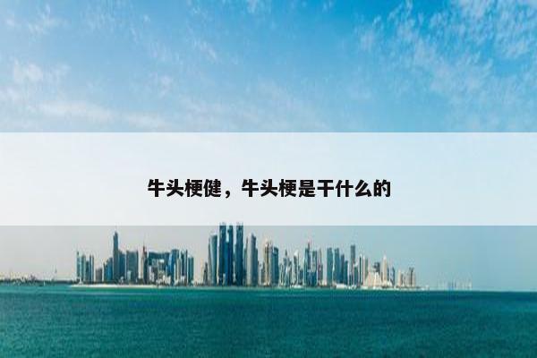 牛头梗健，牛头梗是干什么的