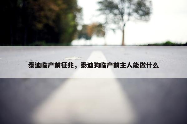 泰迪临产前征兆，泰迪狗临产前主人能做什么