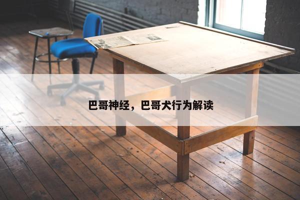 巴哥神经，巴哥犬行为解读