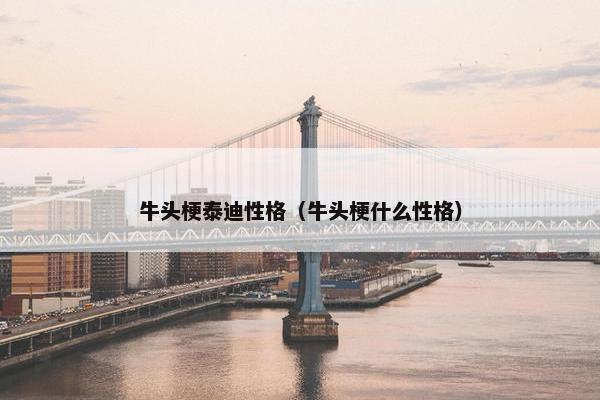 牛头梗泰迪性格（牛头梗什么性格）