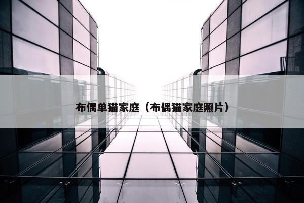 布偶单猫家庭（布偶猫家庭照片）