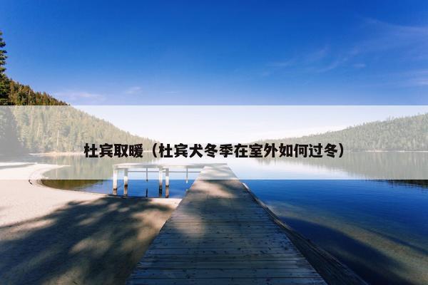 杜宾取暖（杜宾犬冬季在室外如何过冬）