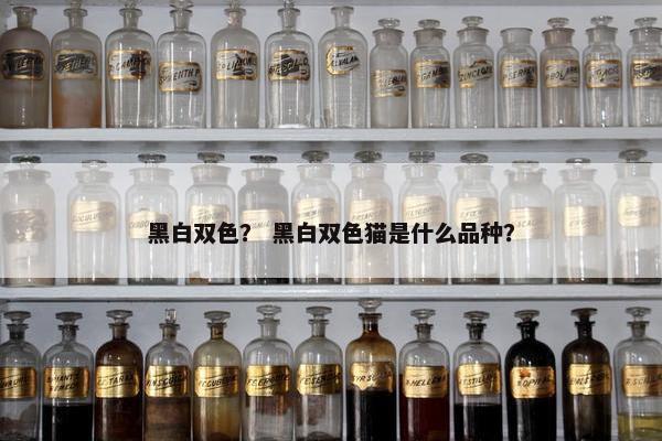 黑白双色？ 黑白双色猫是什么品种？