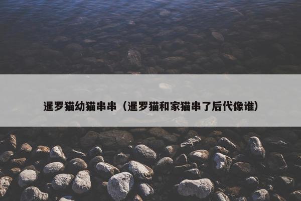 暹罗猫幼猫串串（暹罗猫和家猫串了后代像谁）