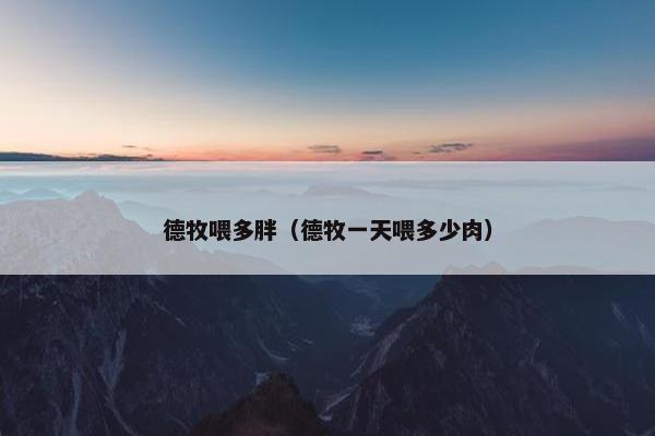 德牧喂多胖（德牧一天喂多少肉）