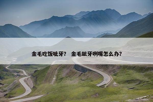 金毛吃饭呲牙？ 金毛龇牙咧嘴怎么办？