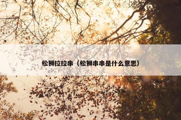 松狮拉拉串（松狮串串是什么意思）