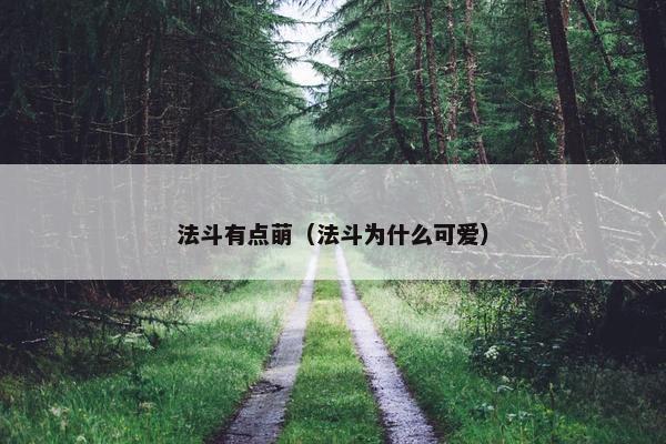 法斗有点萌（法斗为什么可爱）