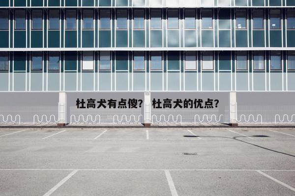 杜高犬有点傻？ 杜高犬的优点？