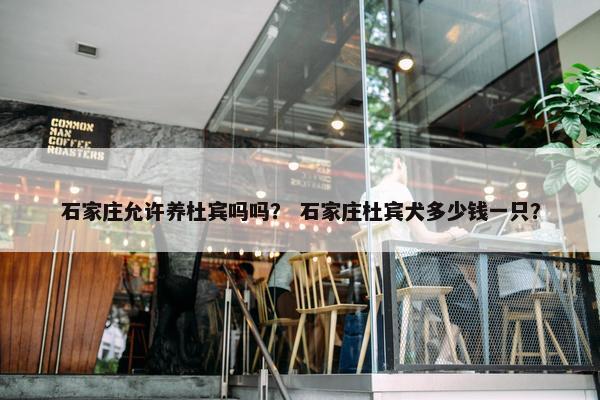 石家庄允许养杜宾吗吗？ 石家庄杜宾犬多少钱一只？