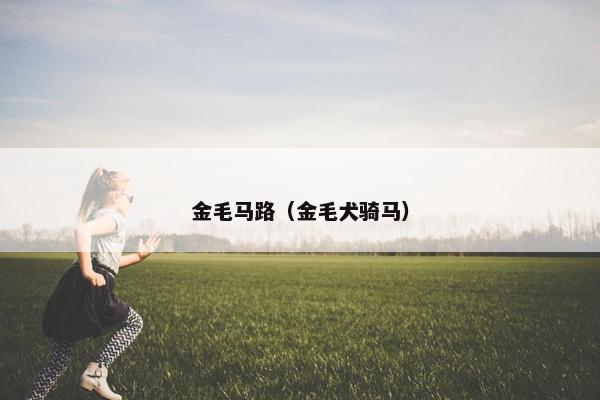 金毛马路（金毛犬骑马）