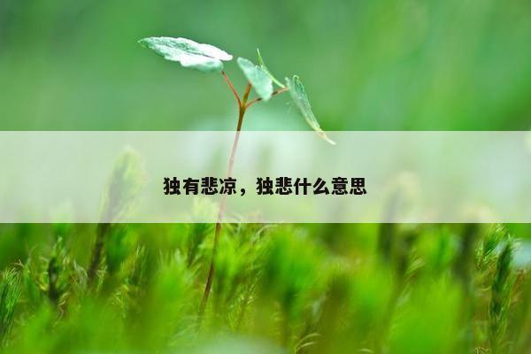 独有悲凉，独悲什么意思