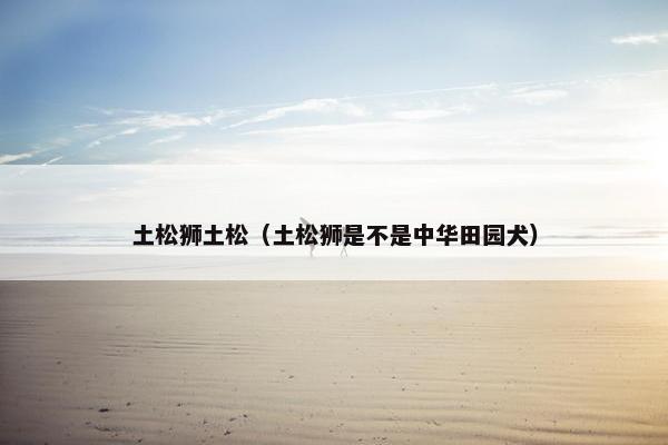 土松狮土松（土松狮是不是中华田园犬）