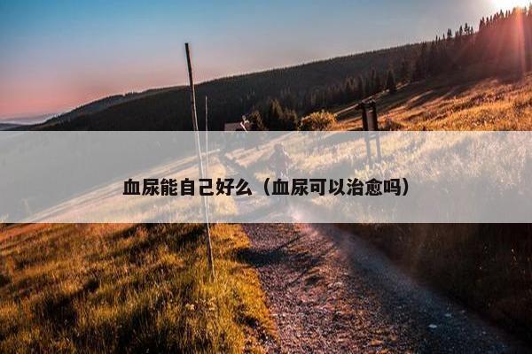 血尿能自己好么（血尿可以治愈吗）