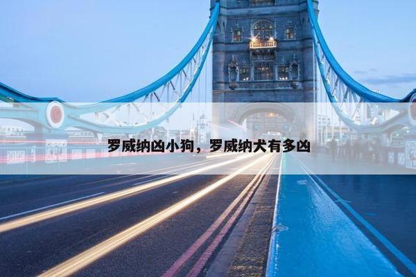 罗威纳凶小狗，罗威纳犬有多凶