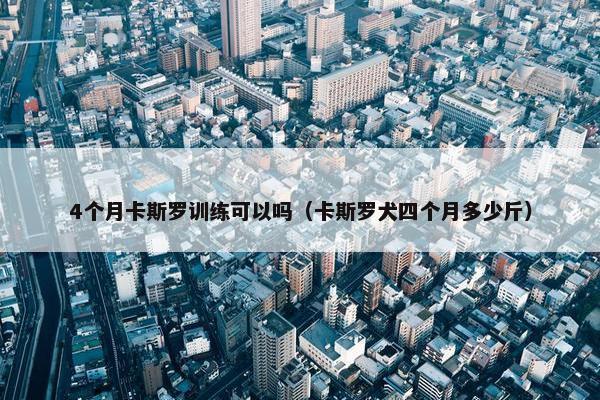4个月卡斯罗训练可以吗（卡斯罗犬四个月多少斤）