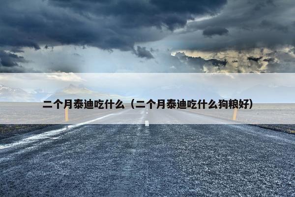 二个月泰迪吃什么（二个月泰迪吃什么狗粮好）