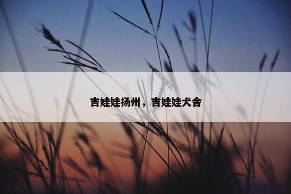 吉娃娃扬州，吉娃娃犬舍