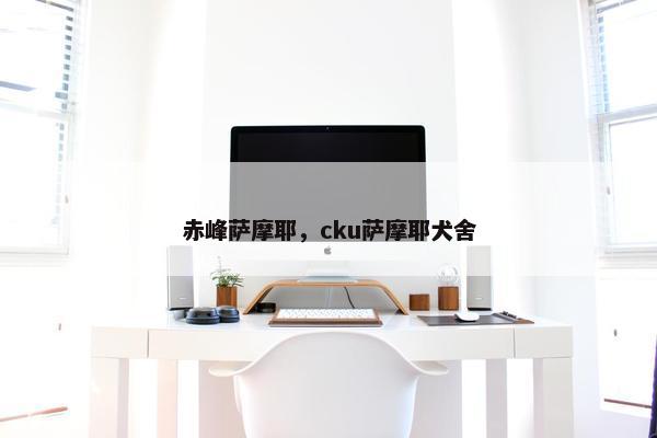 赤峰萨摩耶，cku萨摩耶犬舍