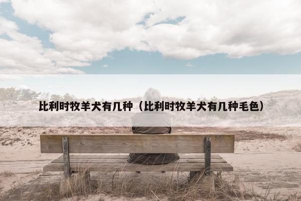 比利时牧羊犬有几种（比利时牧羊犬有几种毛色）