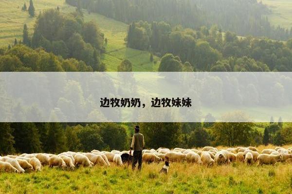 边牧奶奶，边牧妹妹