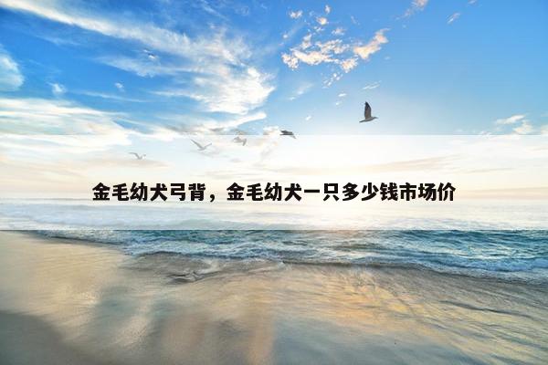 金毛幼犬弓背，金毛幼犬一只多少钱市场价