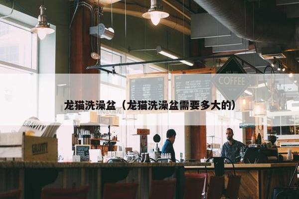 龙猫洗澡盆（龙猫洗澡盆需要多大的）