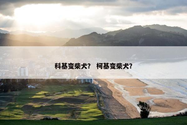 科基变柴犬？ 柯基变柴犬？