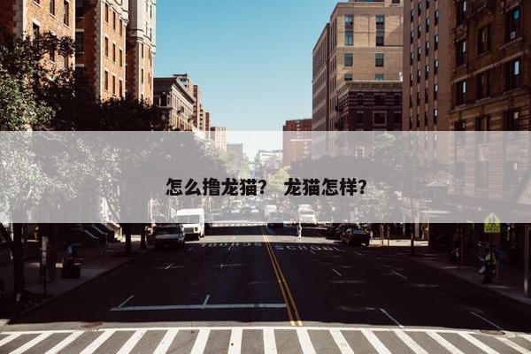 怎么撸龙猫？ 龙猫怎样？