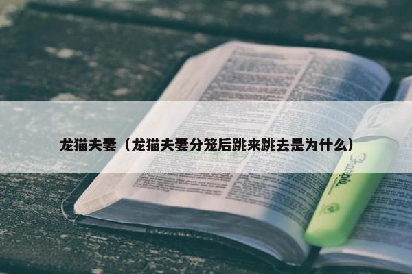 龙猫夫妻（龙猫夫妻分笼后跳来跳去是为什么）