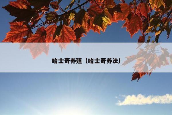 哈士奇养殖（哈士奇养法）