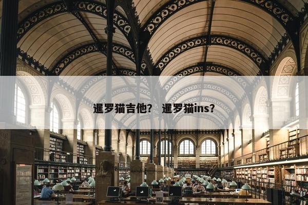 暹罗猫吉他？ 暹罗猫ins？