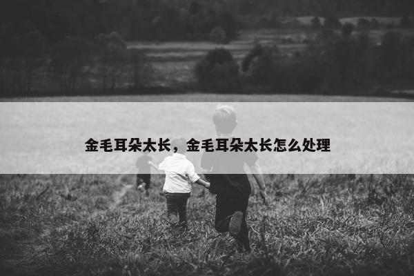 金毛耳朵太长，金毛耳朵太长怎么处理