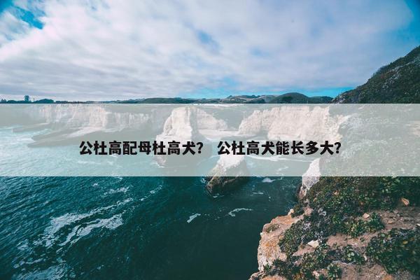公杜高配母杜高犬？ 公杜高犬能长多大？