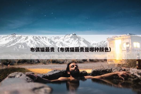 布偶猫最贵（布偶猫最贵是哪种颜色）