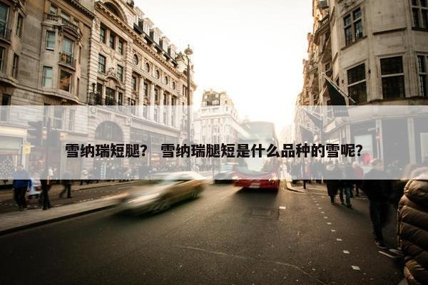 雪纳瑞短腿？ 雪纳瑞腿短是什么品种的雪呢？
