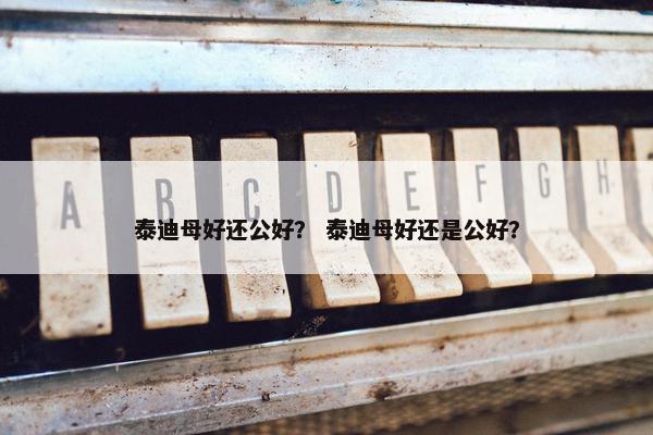 泰迪母好还公好？ 泰迪母好还是公好？