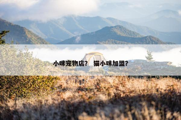 小咪宠物店？ 猫小咪加盟？